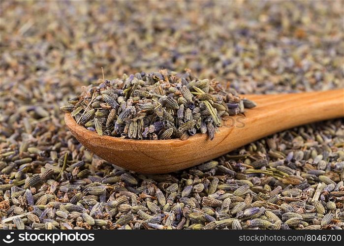 dried lavender organic tea in wooden spoon