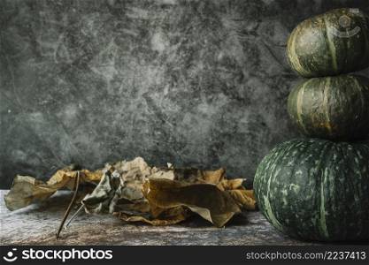 dried leaves near stack squashes