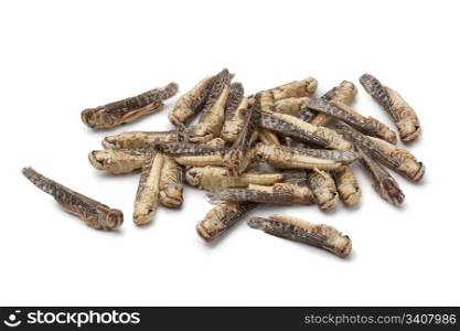 Dried locusta bugs on white background
