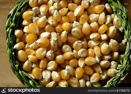 Dried macro corn seeds in orange color