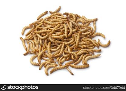 Dried mealworm larva on white background