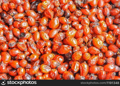 dried medicinal rose hips, red berries of the wild rose useful. red berries of the wild rose useful, dried medicinal rose hips