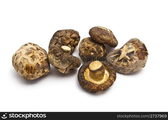 Dried mushrooms closeup on white background