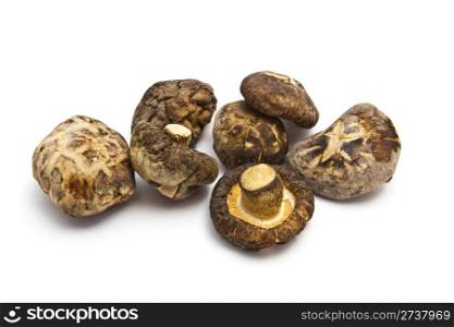 Dried mushrooms closeup on white background