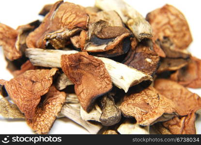Dried mushrooms isolated on white background