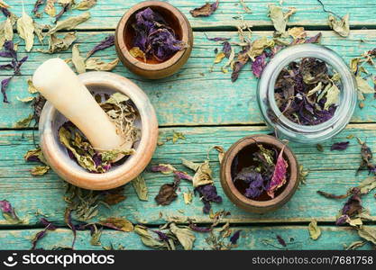 Dried natural basil spice in jars and mortar. Dried herb,basil leaves