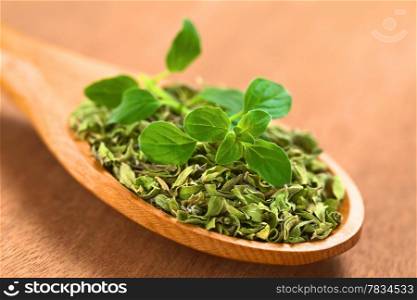 Dried oregano leaves on wooden spoon with a fresh oregano sprig on top (Selective Focus, Focus on the front leaves of the oregano sprig). Oregano