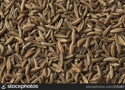Dried organic Caraway seeds full frame close up
