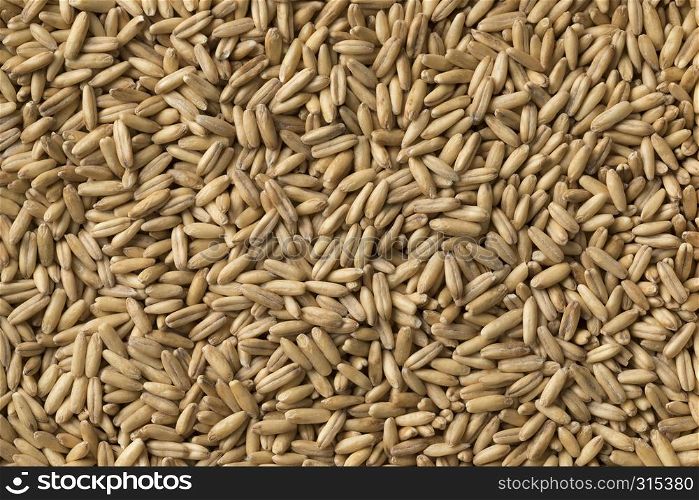 Dried organic Oat seeds full frame close up