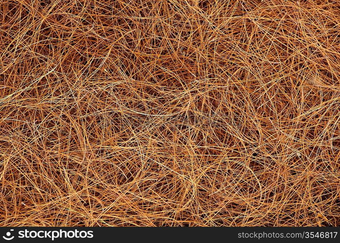 dried pine leaves needles brown pattern background texture