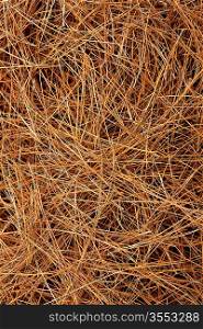 dried pine leaves needles brown pattern background texture
