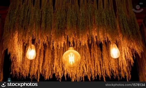 Dried rice with edison light bulbs hanging for interior decoration.