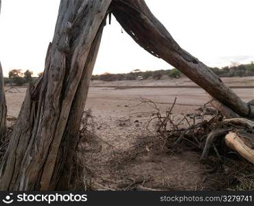 Dried riverbed in Kenya Africa