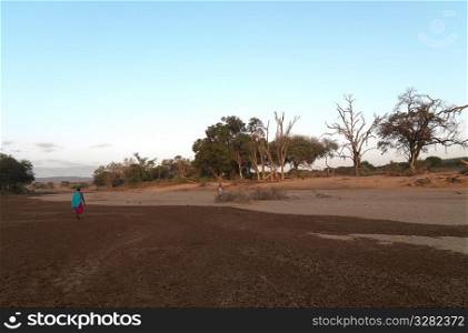 Dried riverbed in Kenya Africa