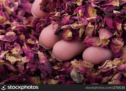 Dried rose petals  as herbal tea is in hand