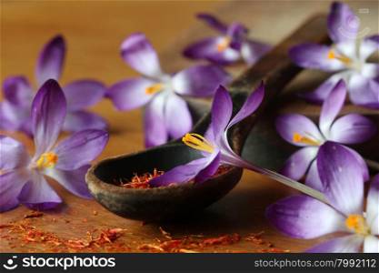 Dried saffron spice and crocus flowers