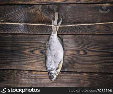 dried salted fish ram is hanging on a rope on a brown wooden background