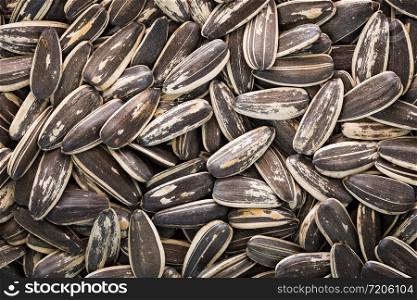Dried salted sunflower seeds for eating as a snack.
