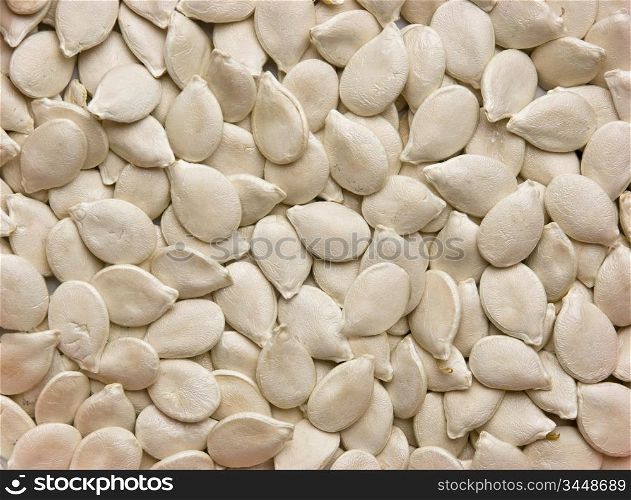 dried seeds of pumpkin,background