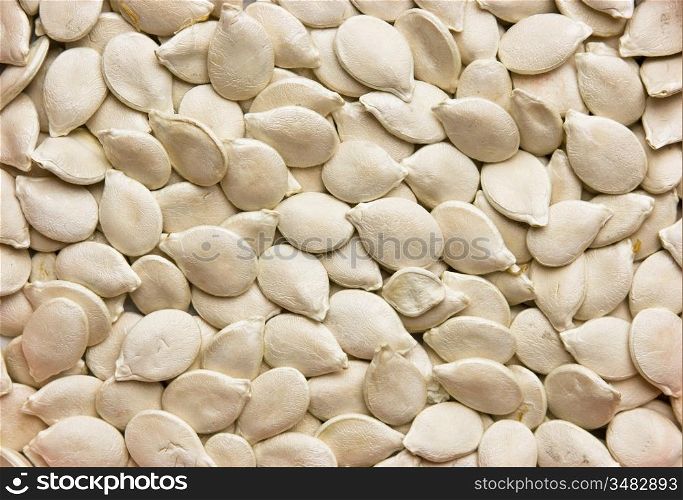dried seeds of pumpkin,background