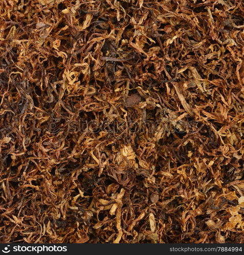 dried smoking tobacco close-up macro view