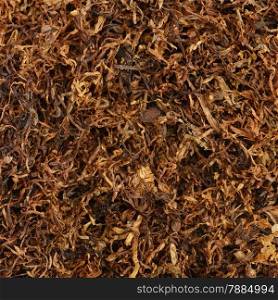 dried smoking tobacco close-up macro view