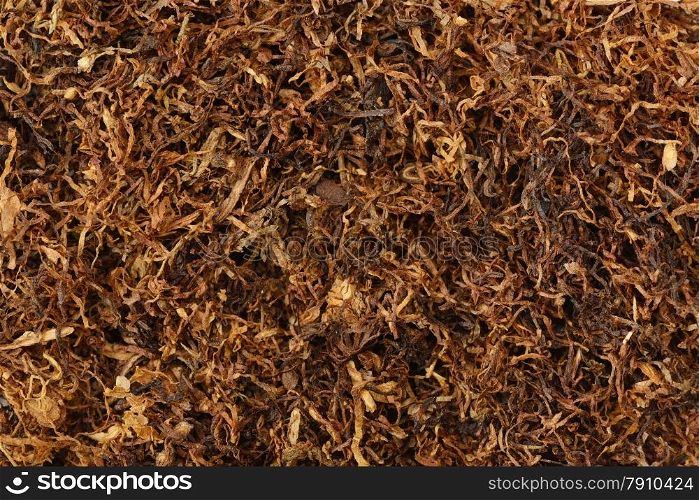 dried smoking tobacco close-up macro view