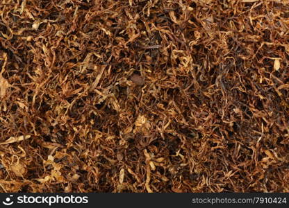 dried smoking tobacco close-up macro view