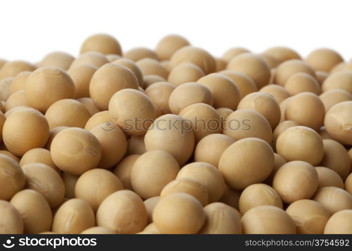 Dried soybeans close up