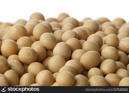 Dried soybeans close up