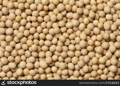 Dried soybeans full frame