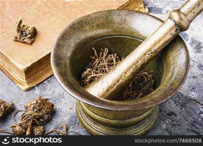 Dried Valerian roots in old bronze mortar.Valerian root for medical use. Valerian herb root