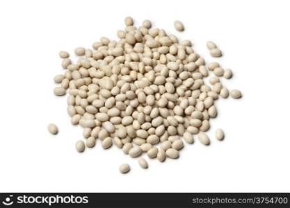 Dried white beans on white background