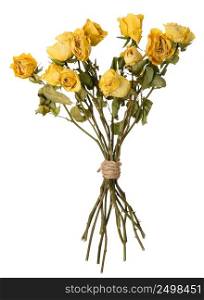 Dried yellow rosed bouquet isolated on white.
