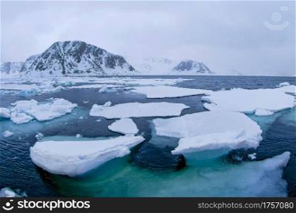 Drift floating Ice, Albert I Land, Arctic, Spitsbergen, Svalbard, Norway, Europe