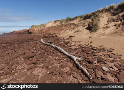 Driftwood and rock formations on beach, Green Gables, Cavendish, Prince Edward Island National Park, Prince Edward Island, Canada