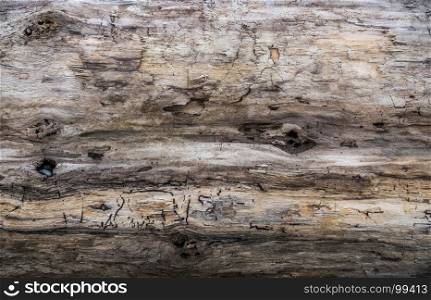 Driftwood background.