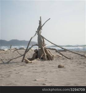Driftwood on the beach in Costa Rica