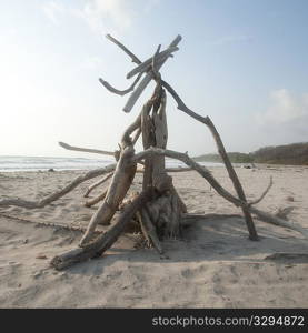 Driftwood on the beach in Costa Rica