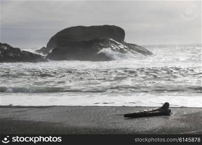 Driftwood on the beach, Pacific Rim National Park Reserve, Tofino, Vancouver Island, British Columbia, Canada