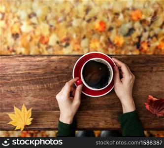 Drinking Coffee in Fall and Autumn Season. Person with Hot Coffee Cup, Sitting at Backyard or Park in Autumn. Colorful Foliages on ground as background. Top View