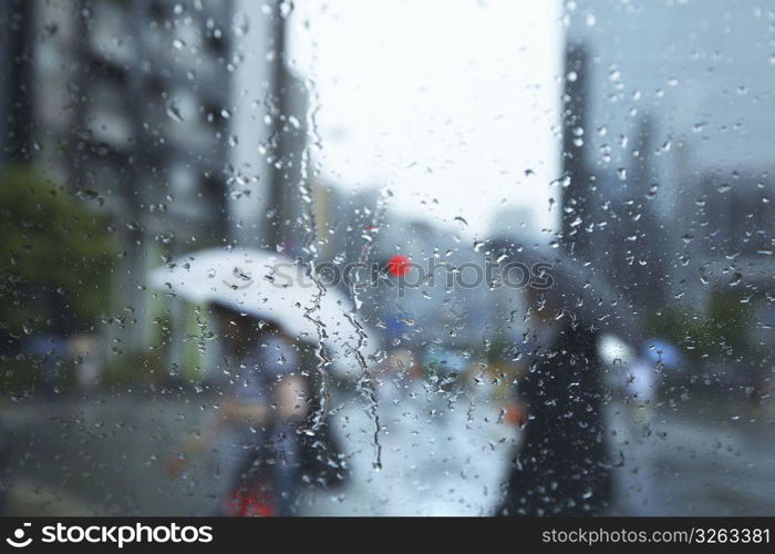 Driving in the rain