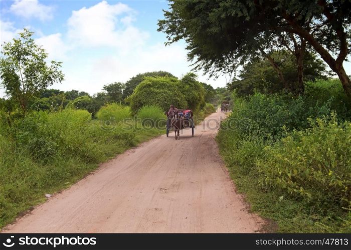 Driving on a horse cart in Bagan Myanmar