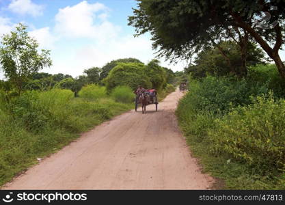 Driving on a horse cart in Bagan Myanmar