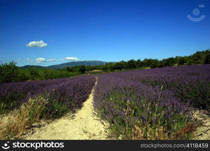 Drome, Grignan, France