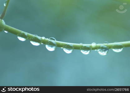 Drop of water