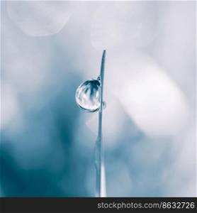 drop of water on the grass leaf in rainy days in autumn season, blue background