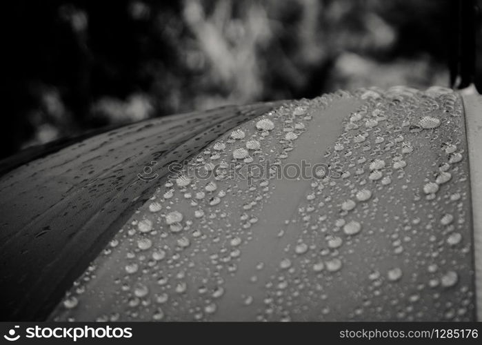 drop on umbrella, background fabric texture of umbrella