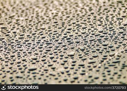 drops on water-repellent surface