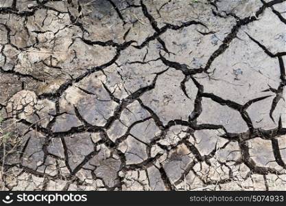 drought, ecology and environment concept - dry cracked ground surface. dry cracked ground surface